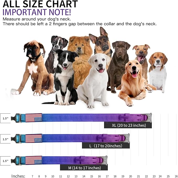 Tactical Military Dog Collar - Adjustable Nylon, Heavy Duty Metal Buckle with Handle for Dog Training, Patches (Gradient 1, XL)
