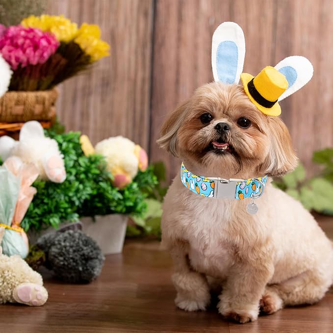 Easter Dog Collar, Cotton Easter Egg Collar for Puppy Girl Boy Dog or Cat, Easter Gift Rabbit Dog Collar, Cute Carrot Pet Dog Collar with Metal Buckle, L