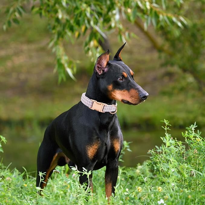 Metal Buckle Dog Collar, Durable Adjustable Dog Collar Soft for Small Medium Large Dogs (Purple Plaid, L(15-23in)