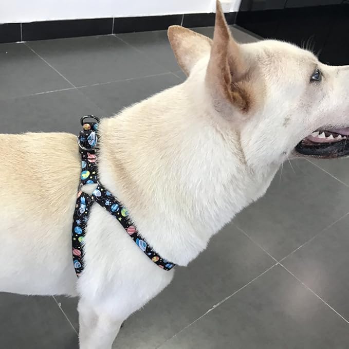 QQPETS Dog Harness Leash Set Adjustable Heavy Duty No Pull Halter Harnesses for Small Medium Large Breed Dogs Back Clip Anti-Twist Perfect for Walking (M(19"-26" Chest Girth), Space)