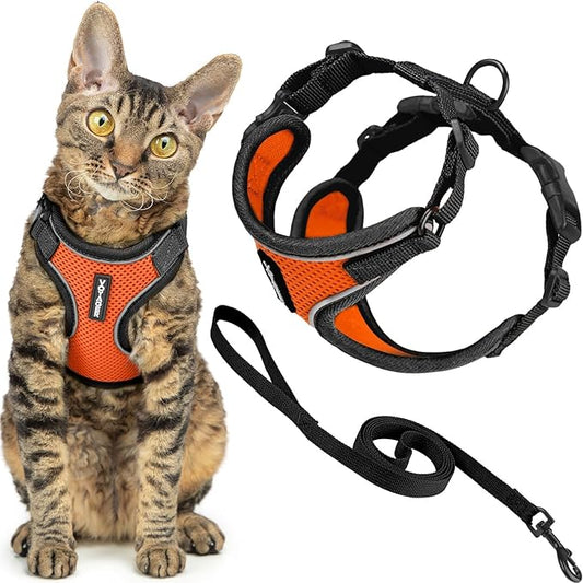 Voyager Escape Proof Cat Harness and Leash Set with Reflective Stitching, Neoprene Handle 5ft - Supports Small, Medium and Large Cats, Kittens for Walking by Best Pet Supplies - Black Trim-Orange, S