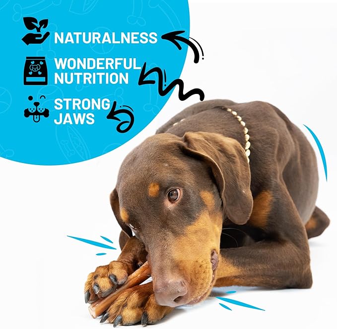 Sitka Farms XL Bully Sticks - 12 Inch, 12 Count - Long Lasting Dental Dog Treats for All Dogs & Puppies - Single Ingredient, No Bones or Hide