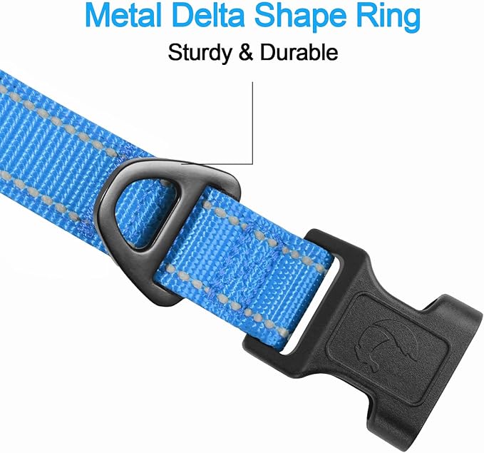 Joytale Reflective Dog Collar,Soft Neoprene Padded Breathable Nylon Pet Collar Adjustable for Small Dogs,Sky Blue,S
