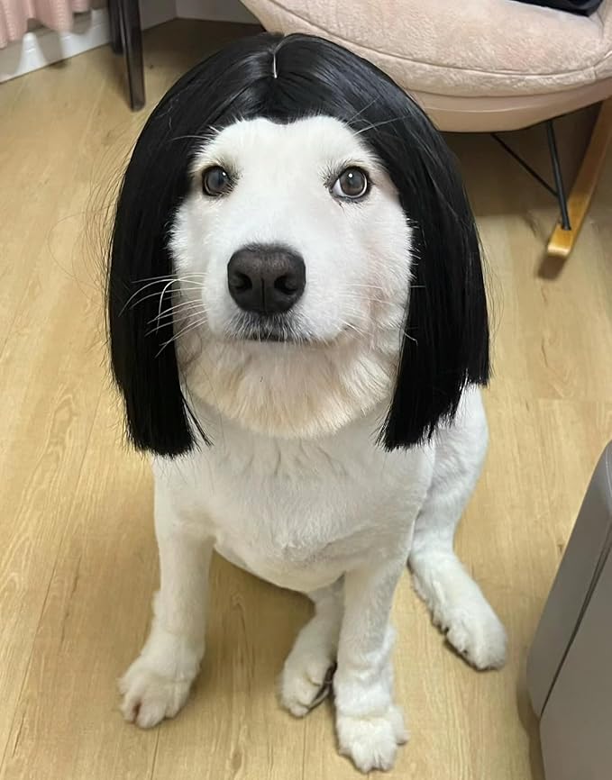 Spa Day Dog Costume Cosplay Wig, Curly Hair Pet Cat Wigs for Halloween Parties Dog Hats Wigs for Small Medium and Large Dogs Adjustable(Pet Head Circumference 6-27 inches)