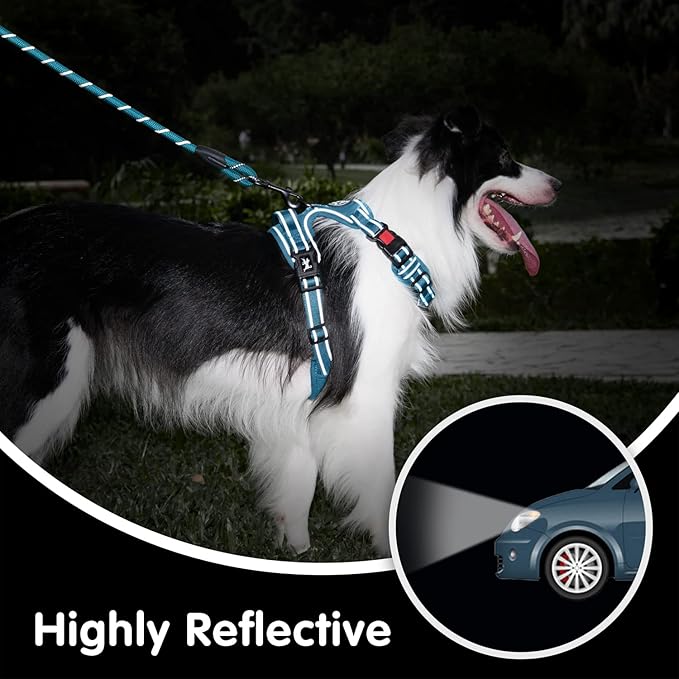PoyPet No Pull Dog Harness and 5 Feet Leash Set, Release on Neck Reflective Adjustable Pet Vest, Front & Back 2 D-Ring and Soft Padded Pet Harness with Handle for Small to Large Dogs(Tumalo Teal,M)