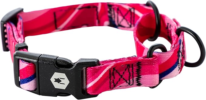 Wolfgang Heavy Duty Martingale Dog Collar with Quick Release Nylon Buckle for Walking & Training, MarbleSwirl Print, Large
