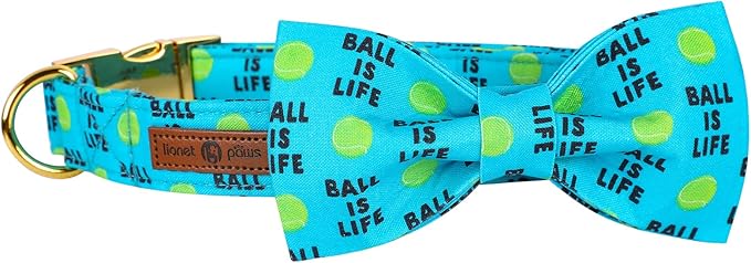 Lionet Paws Dog Collar with Bowtie - Cute Cotton Bowtie Dog Collar with Metal Buckle for Small Dog Girl Boy, S, Neck 10-16in