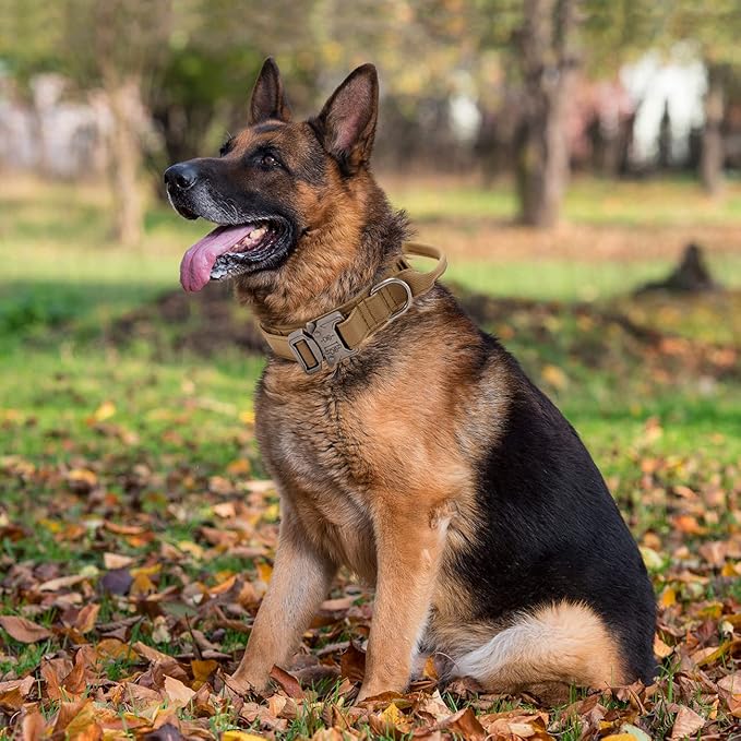 Tactical Dog Collar with Handle - Military Adjustable Dog Training Collar Soft Nylon and Heavy Duty Metal Buckle for Medium Large Dogs - with Patch (Brown, Large)
