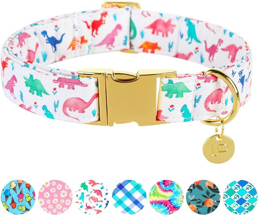 Dinosaur Summer Cotton Dog Collar with Metal Buckle Gift Collar for Small Medium Large Girls or Boys Dogs Cute Durable Comfortable Pet Collars