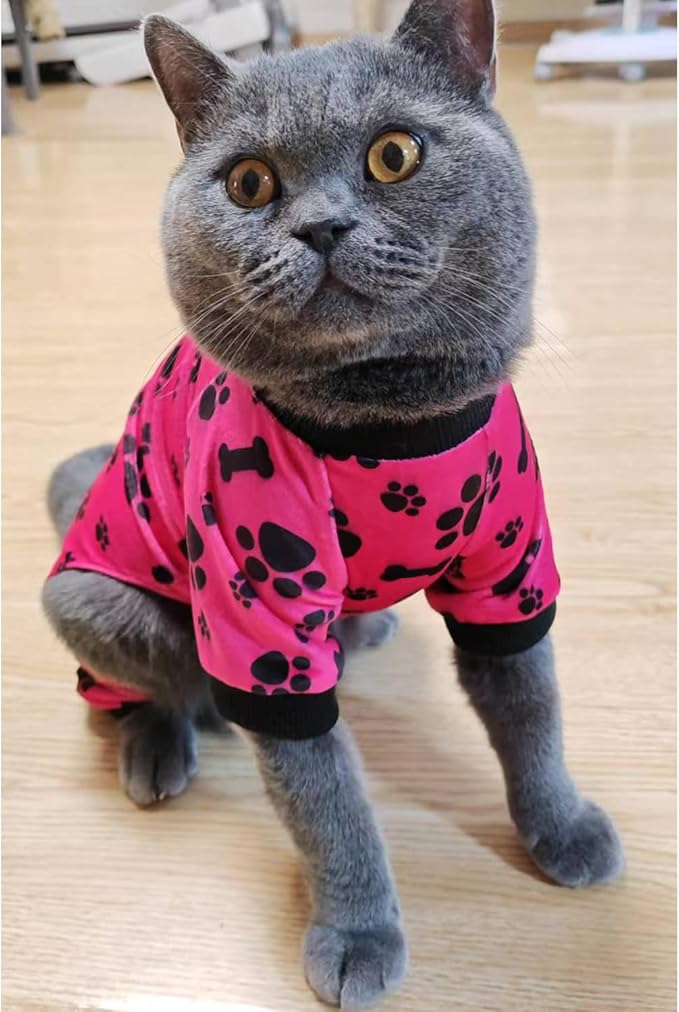 PET SHOW 4 Pack Small Dog Pajamas Paw Bone Patterns Cute Clothes for Medium Dogs Soft Stretchy PJs 4 Legged Jumpsuit Puppy Cats Onesies Outfits with Sleeve Dachshund Doggies Girl Boy (XX-Large)