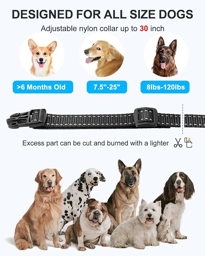 No Shock Dog Training Collar with Remote, Dog Vibration Collar with Controller Beep and Vibrate Only, Safe Lock Waterproof Rechargeable Vibrating Collars for Dogs(10-120 lbs)-No Prongs (Navy Blue)