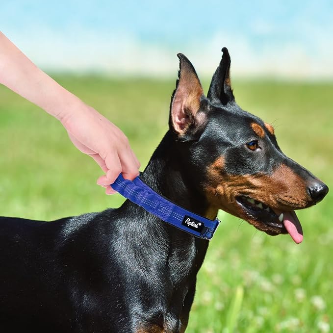 PUPTECK Heavy Duty Dog Collar with Handle Bungee for Small Medium Large Dogs, Tactical Dog Training Collar for Easy Control, Reflective Padded Dog Collars for Walking Running, Navy Blue, L