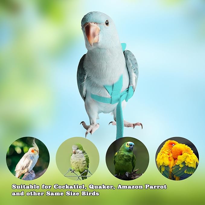 Adjustable Bird Leashes and Harnesses, Bird Nylon Harness with Cute Wing for Parrots, Pet Bird Accessories, Bird Leash for Hang Out, Suitable for Cockatiel, Quaker, Amazon Parrot and Same Size Birds