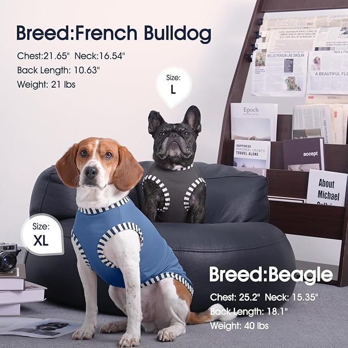 IECOii 2 Pack Dog T-Shirts,Stretchy & Comfortable Pet Summer Tank Top Clothes,Fade-Resistant, Easy to Put On – Machine Washable Tshirts for Medium Breeds Dogs,Grey+Blue,XLarge