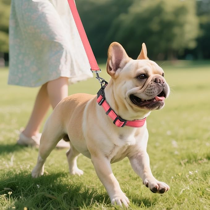 Joytale Reflective Dog Collar,Soft Neoprene Padded Breathable Nylon Pet Collar Adjustable for Small Dogs,Neon Pink,S