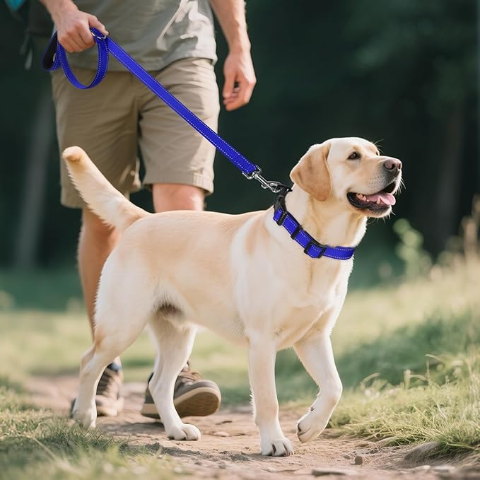 Joytale Reflective Dog Collar,Soft Neoprene Padded Breathable Nylon Pet Collar Adjustable for Large Dogs,Navy Blue,L
