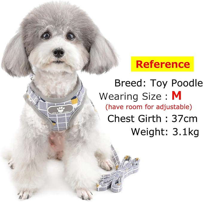 Zunea No Pull Small Dog Harness and Leash Set Adjustable Reflective Step-in Chihuahua Vest Harnesses Mesh Padded Plaid Escape Proof Walking Puppy Jacket for Boy Girl Pet Dogs Cats Gray M