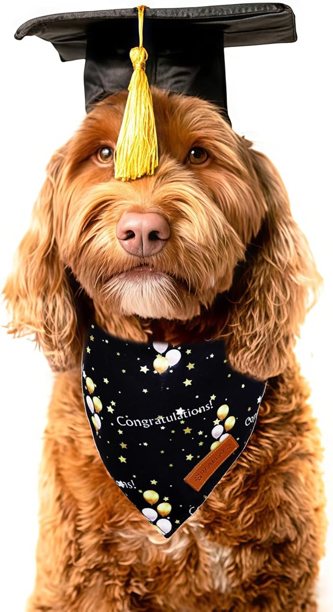 Realeaf Graduation Dog Bandanas 2 Pack, Reversible Pet Scarf for Boy and Girl, Premium Durable Fabric, Holiday Bandana for Small Medium Large and X-Large Dogs (Graduation, Large)