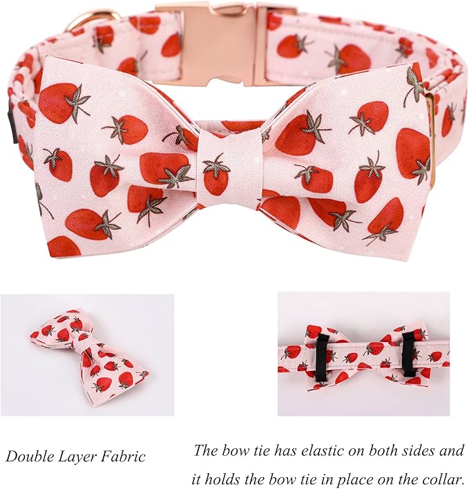Lionet Paws Dog Collar with Bowtie - Summer Cute Cotton Adjustable Bowtie Dog Cat Collar with Metal Buckle for Puppy Girl Boy, XXS, Neck 7-11in