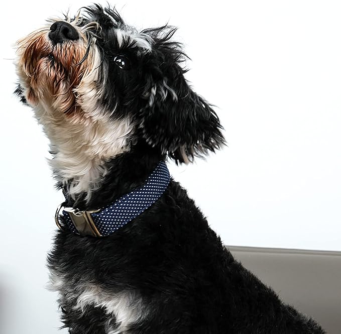 Lionet Paws Boy Dog Collar, Comfortable Adjustable Cute Navy Blue Collar with Metal Buckle for Male Puppies and Cats, XS, Neck 8-12 inches