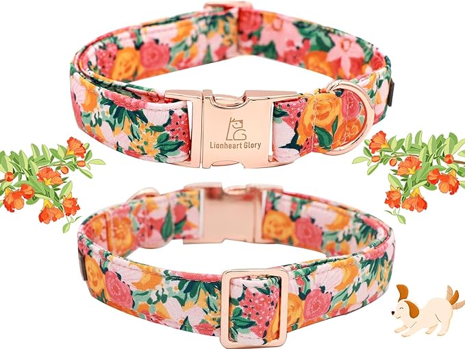 Lionheart Glory Dog Collar With Flower - Cute Floral Pattern Adjustable Pet Collar for Medium Dogs