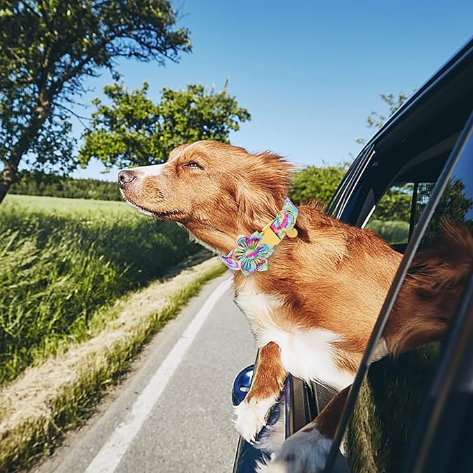 Dog Collar with Flower, Female Dog Collar for Large Girl Dog, Comfortable Adjustable Cute Cotton Flower Collar with Metal Buckle, L