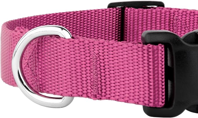 Country Brook Petz - American-Made Dog Collar for Large, Medium, and Small Dogs and Puppies - Deluxe Heavy Duty Nylon in 33 Dazzling Colors (Extra Small, 3/8 Inch Wide, Rose)