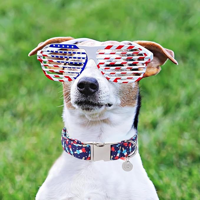 Dog Patriotic Collar, 4th of July, American Flag Dog Collar for Boy Girl Puppy, with Metal Buckle,XL