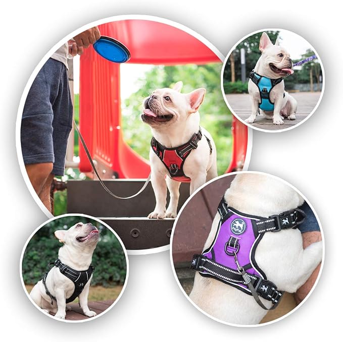 PoyPet Dog Harness No Pull, Reflective with Front & Back 2 Leash Hooks and an Easy Control Handle Pet Harness for Puppy Small Dog, Adjustable Soft Padded Vest Harness(Blue,S)