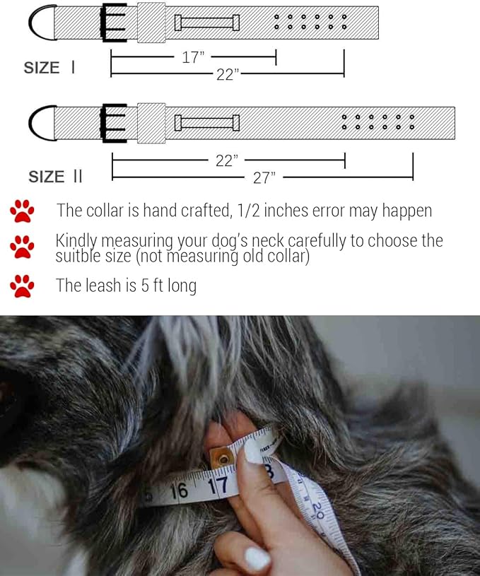 Large Dog Collar and Leash Set- Black Heavy Duty Collar and Leash for Gaint Breed Dogs, 2in Wide with Handle Collar and 5 ft Leash, Strong Nylon and Stainless Hardware, 22"-27"