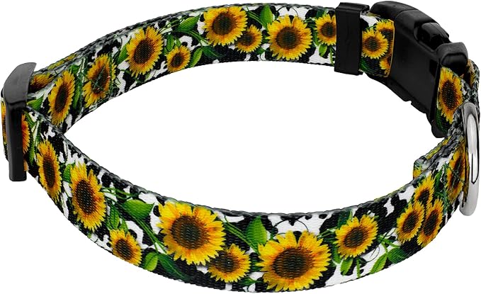 Country Brook Petz - Deluxe Dairy Fields Dog Collar - Made in The U.S.A. - Country and Western Collection Featuring Rustic Designs (1/2 Inch, Extra Small)
