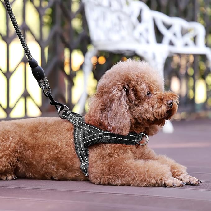 Plutus Pet No Pull Dog Harness with Breathable Mesh Padded, Adjustable Reflective Escape Proof Dog Harness, Quick Fit Dog Vest Harness for Small Medium Large Dogs(XXS, Black)