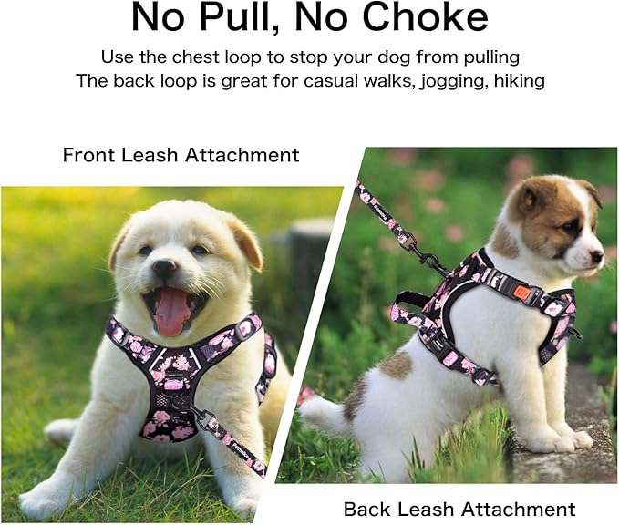 Petmolico Large Dog Harness Set, Reflective Vest Harness, 2 Leash Attachments, Rope Leash, Poop Bag Holder, Black with Pink Rose
