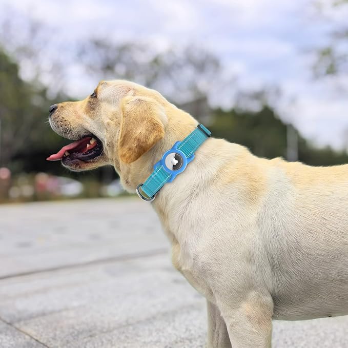Dog Collar with QR Code, Reflective Dog Collar, Soft Neoprene Padded & Safety Locking Buckle Adjustable Pet Collar (Blue, M-with Airtag Holder)