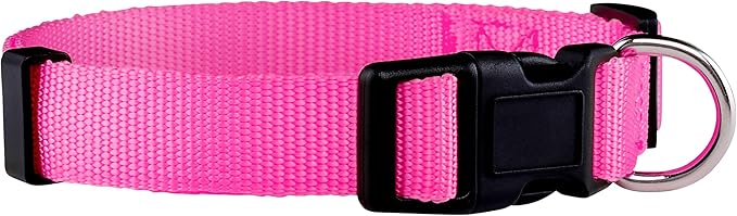 Native Pup Basic Nylon Dog Collar, Adjustable for Small, Medium, Large pet and Puppies Accessories, Cute Colors for Male, Female, boy, Girl, Puppy (Large, Hot Pink)