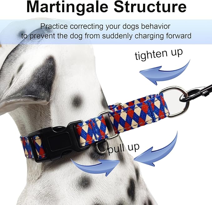 Reflective Martingale Dog Collar with Buckle Soft Nylon Geometric Patterns Pet Collars for Medium Dogs (Argyle, M)