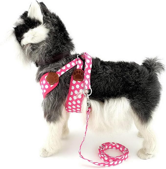 SMALLLEE_LUCKY_STORE New Soft Mesh Nylon Vest Polka Dot Pet Cat Small Medium Dog Harness Dog Leash Set Leads Pink S