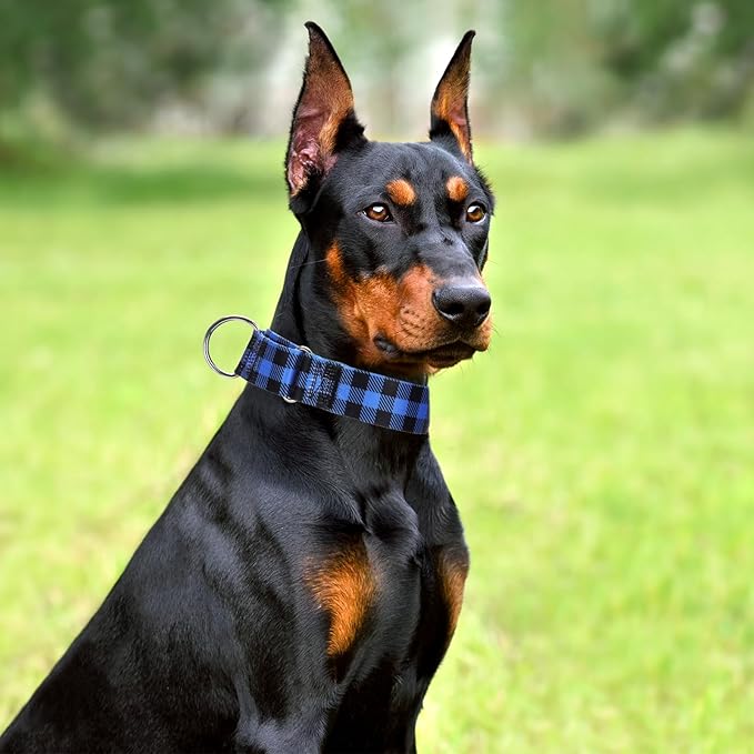 1.5 Inches Martingale Collar for X-Large Dogs,with Special Blue Plaid Design, Adjustable Premium No Slip Collar for Girl Boy Dogs(Blue Plaid XL)