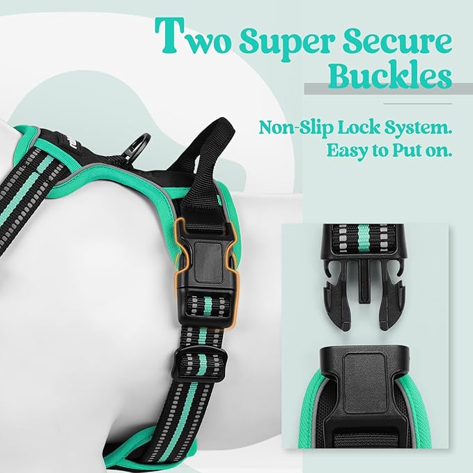 rabbitgoo Dog Harness No Pull with 2 Leash Clips, Adjustable Soft Padded, Reflective Oxford No Choke Pet Vest with Easy Control Handle for Large Dogs, Black & Turquoise, L