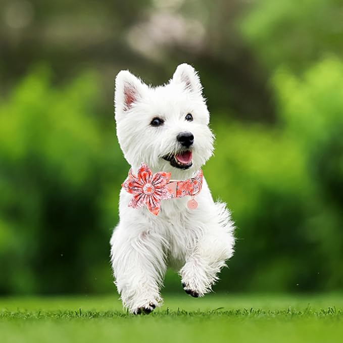 Dog Collar with Flower, UP URARA PUP Cute Orange Flower Dog Bowtie Collar, Detachable Flower Bow Puppy Collar with Metal Buckle for Dogs,S