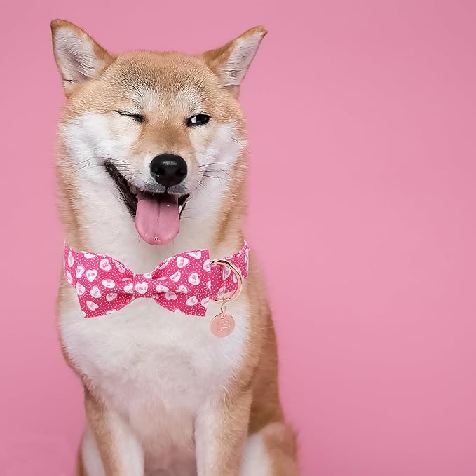 Valentine’s Dog Collar with Bow Tie, Pink Heart Bowtie Collar with Metal Buckle, Valentine’s Gift Pet Collar for Puppy Girl Boy Dog or Cat, Wedding Dog Collar,XL