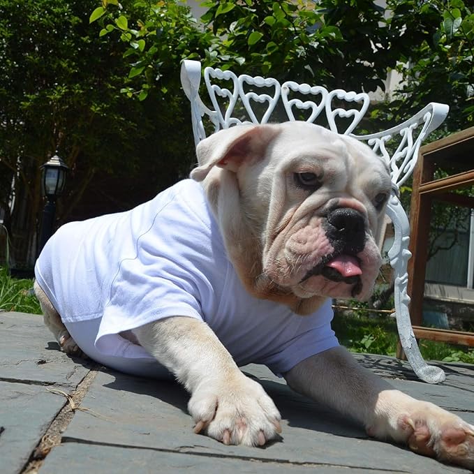 Lovelonglong Bulldog Clothes Dog Clothing Blank T-Shirt Tee Shirts for French Bulldog English Bulldog American Pit Bull Pugs 100% Cotton Skin Care White B-S