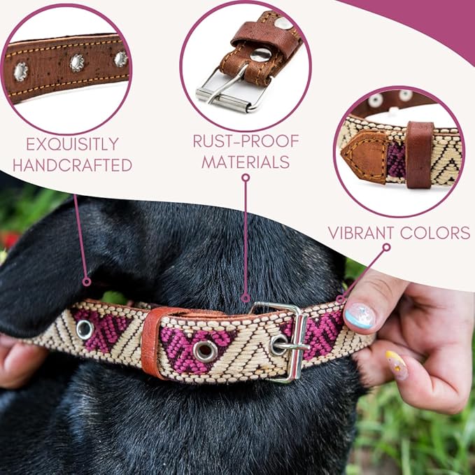 Western Dog Collar - Leather Embroidered Design for Small Medium Large Dogs & Puppy Pets - Aztec Southwest for Boy and Girl Female & Male Dogs - Collar para Perros Beaded (Large, Baja White)
