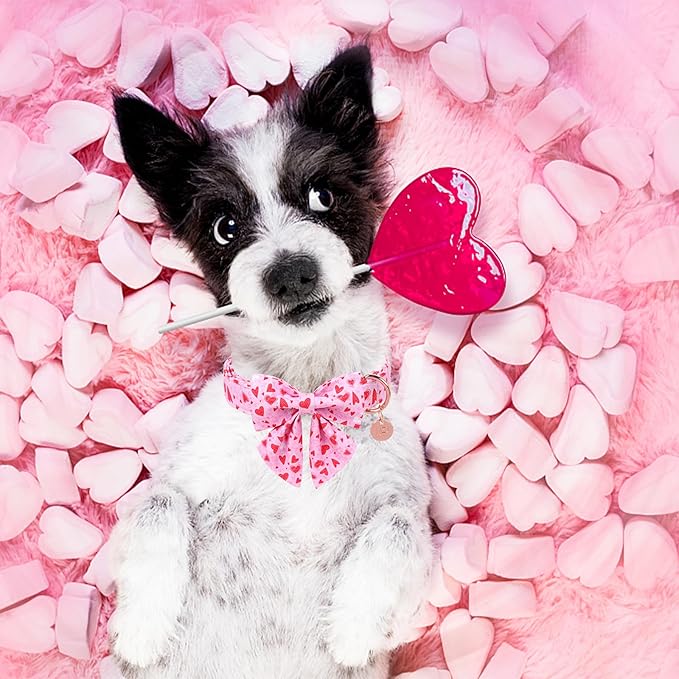 Valentine’s Dog Collar with Bow Tie, Pink Heart Bowtie Collar with Metal Buckle, Valentine’s Gift Pet Collar for Puppy Girl Boy Dog or Cat, Wedding Dog Collar,XL