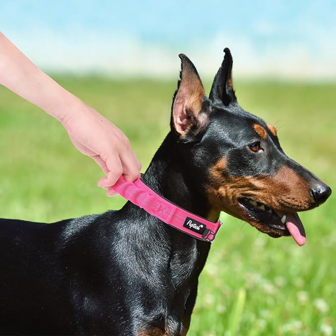 PUPTECK Heavy Duty Dog Collar with Handle Bungee for Small Medium Large Dogs, Tactical Dog Training Collar for Easy Control, Reflective Padded Dog Collars for Walking Running, Deep Pink, S