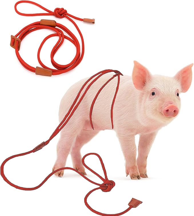 Pig Harness & Leash, Escape Prevention Adjustable Rope, All in One Design, All Life Stages Small to Medium Mini Pigs-5 Feet Long-Red