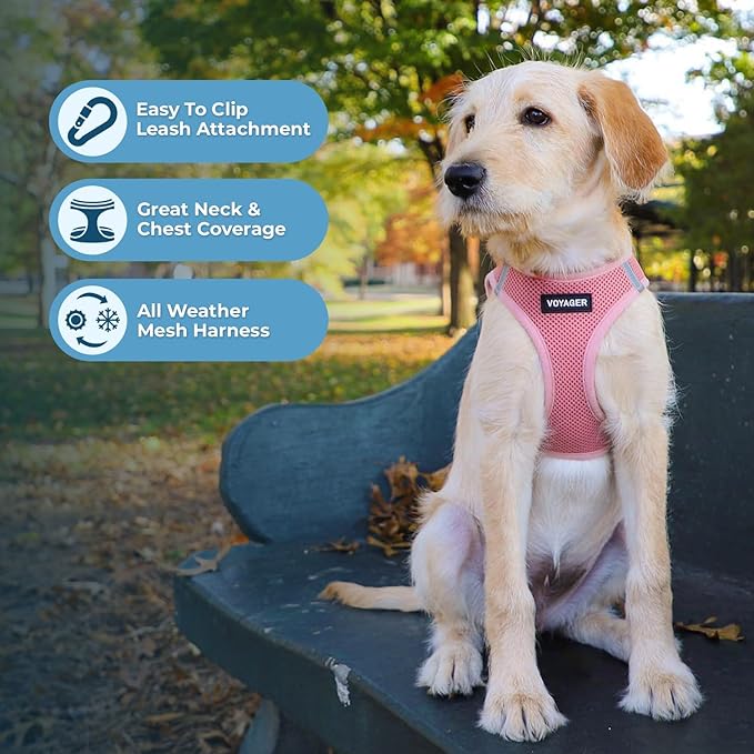 Voyager Step-in Air Cat Harness - All Weather Mesh Step in Vest Harness for Small and Medium Cats by Best Pet Supplies - Harness Leash Set (Pink), XXXS