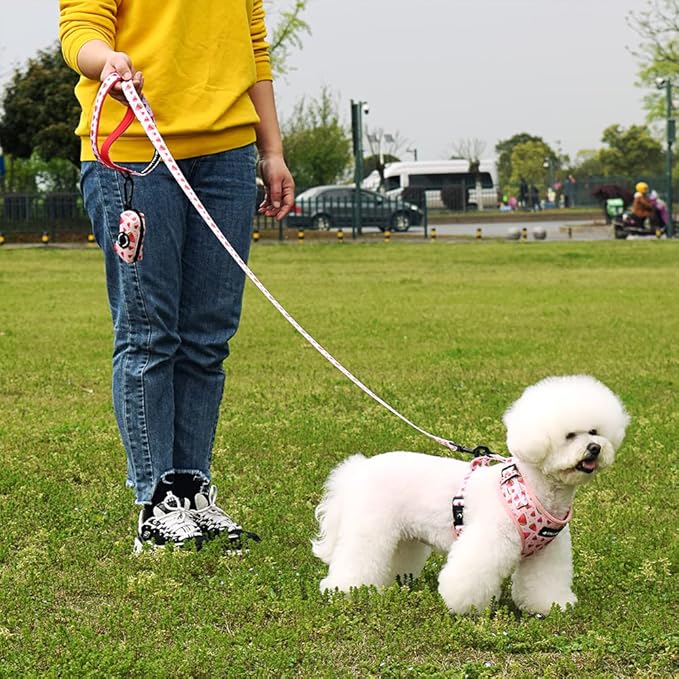 Dog Harness and Leash Set, Adjustable Dog Harness, Dog Leash, No Pull No Choke Puppy Harnesses for Walking Training for Small, Medium, Large Pet
