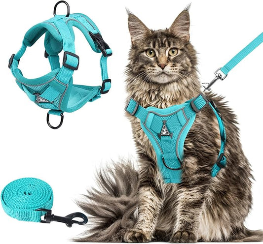 Summer cat Chest Harness and Leash, Anti-Escape Adjustable Soft mesh cat Leash and Chest Harness Set for All Types of Cats cat Vests (Emerald, XL)