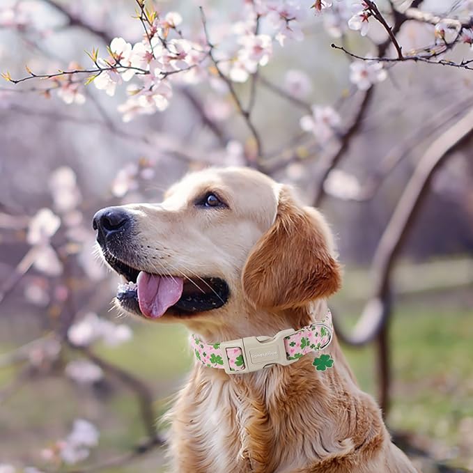 Lionet Paws St. Patrick Dog Collar- Cute Clover Pink Dog Collars with Plastic Buckle, Light Adjustable Dog Collars with Clover Pendant for Medium Large Dogs